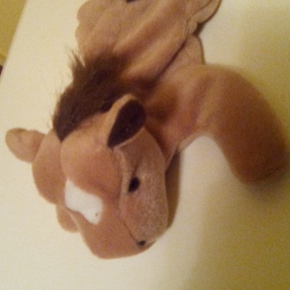 Ty derbie beanie babie